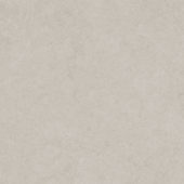 Lithoform 24X24 Crosscut Coast | Glens Falls Tile & Supplies