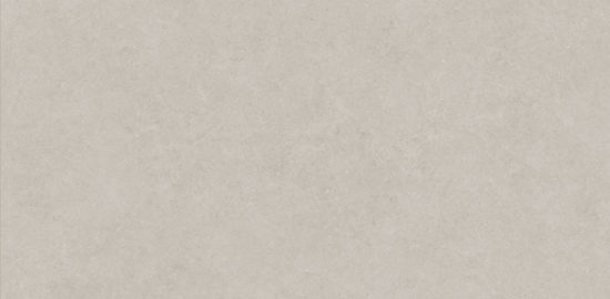 Lithoform 24X48 Crosscut Coast | Glens Falls Tile & Supplies
