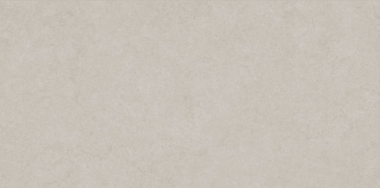 Lithoform 24X48 Crosscut Coast | Glens Falls Tile & Supplies