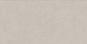Lithoform 24X48 Crosscut Coast | Glens Falls Tile & Supplies