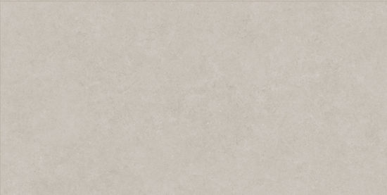 Lithoform 24X48 Crosscut Coast | Glens Falls Tile & Supplies