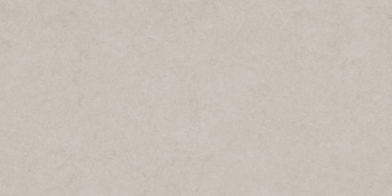 Lithoform 24X48 Crosscut Coast | Glens Falls Tile & Supplies