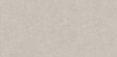 Lithoform 24X48 Crosscut Coast | Glens Falls Tile & Supplies