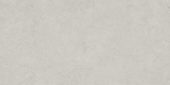 Lithoform 24X48 Crosscut Vista | Glens Falls Tile & Supplies