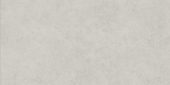 Lithoform 24X48 Crosscut Vista | Glens Falls Tile & Supplies