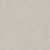 Lithoform 48X48 Crosscut Coast | Glens Falls Tile & Supplies