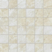 Malena 2x2 Ivory Matte | Glens Falls Tile & Supplies