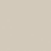 Monoforma 48x48 Oasis Polished | Glens Falls Tile & Supplies