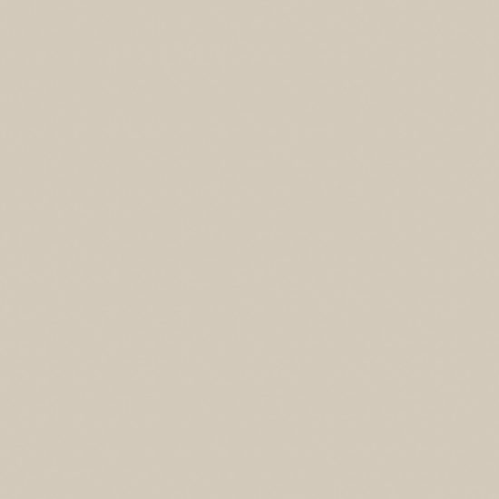 Monoforma 48x48 Oasis Silk | Glens Falls Tile & Supplies