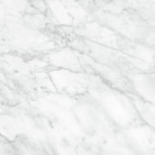 Plata 24x24 Carrara Abisso Matte | Glens Falls Tile & Supplies