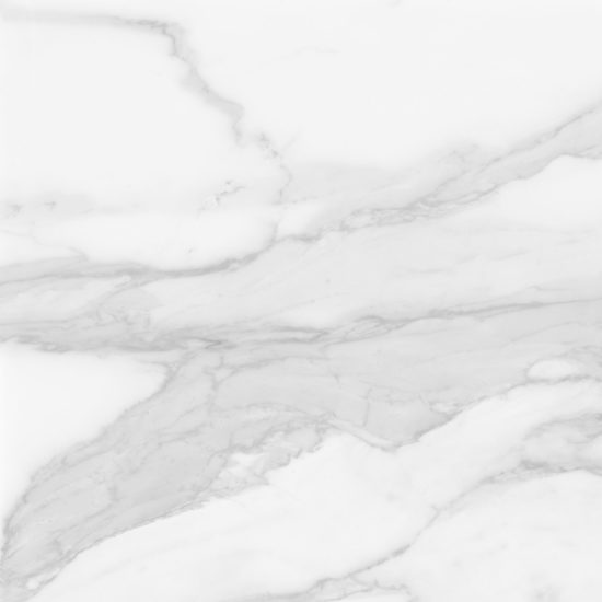 Plata 24x24 Statuario Brina Polished