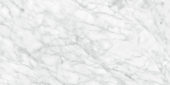 Plata 24x48 Carrara Abisso Polished | Glens Falls Tile & Supplies