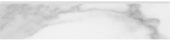 Plata 3x12 Statuario Brina Bullnose Matte | Glens Falls Tile & Supplies