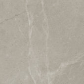 Torino 13x13 Vanizio | Glens Falls Tile & Supplies