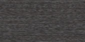 Zera Annex 12x24 Carbon | Glens Falls Tile & Supplies