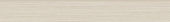 Zera Annex 3x24 Oyster Bullnose | Glens Falls Tile & Supplies